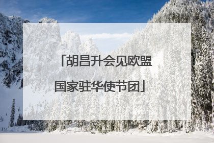 胡昌升会见欧盟国家驻华使节团