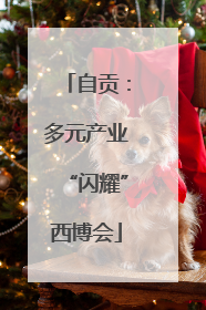 自贡：多元产业“闪耀”西博会