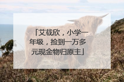 艾载欣，小学一年级，捡到一万多元现金物归原主