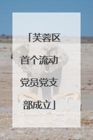 芙蓉区首个流动党员党支部成立