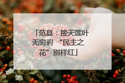 范县：接天莲叶无穷碧 “民主之花”别样红
