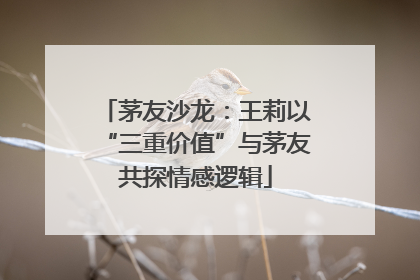 茅友沙龙：王莉以“三重价值”与茅友共探情感逻辑