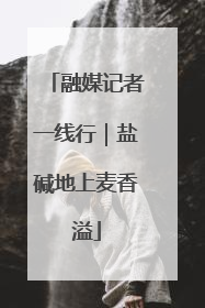 融媒记者一线行｜盐碱地上麦香溢