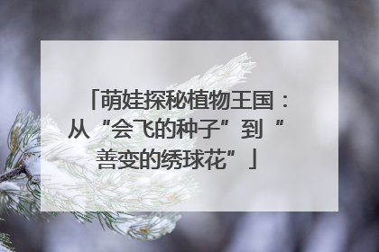 萌娃探秘植物王国：从“会飞的种子”到“善变的绣球花”