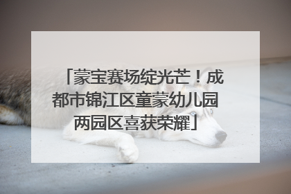 蒙宝赛场绽光芒！成都市锦江区童蒙幼儿园两园区喜获荣耀
