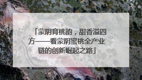蒙阴育桃韵，甜香溢四方——看蒙阴蜜桃全产业链的创新崛起之路
