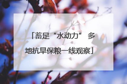 蓄足“水动力” 多地抗旱保粮一线观察