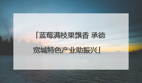蓝莓满枝果飘香 承德宽城特色产业助振兴