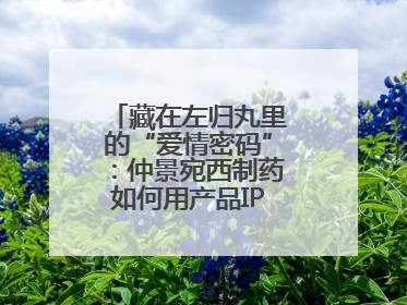 藏在左归丸里的“爱情密码”：仲景宛西制药如何用产品IP讲好品牌故事