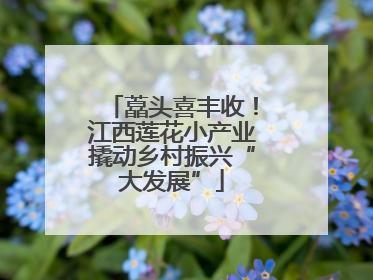 藠头喜丰收！江西莲花小产业撬动乡村振兴“大发展”