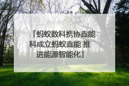 蚂蚁数科携协鑫能科成立蚂蚁鑫能 推进能源智能化