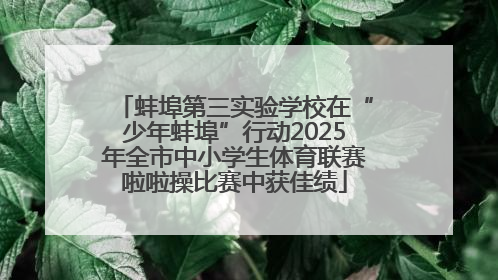蚌埠第三实验学校在“少年蚌埠”行动2025年全市中小学生体育联赛啦啦操比赛中获佳绩