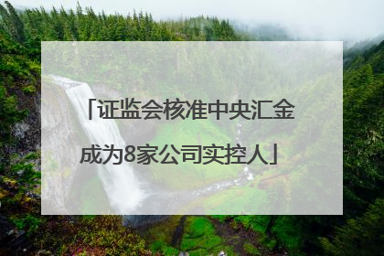 证监会核准中央汇金成为8家公司实控人