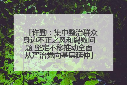 许勤：集中整治群众身边不正之风和腐败问题 坚定不移推动全面从严治党向基层延伸