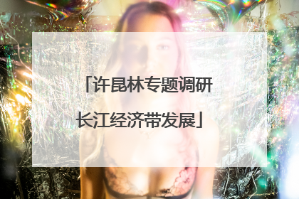 许昆林专题调研长江经济带发展
