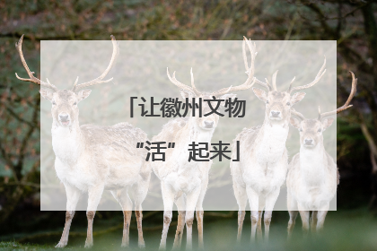 让徽州文物“活”起来