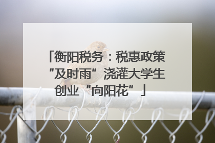 衡阳税务：税惠政策“及时雨”浇灌大学生创业“向阳花”