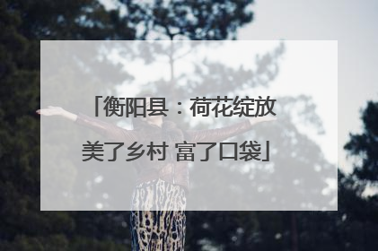 衡阳县：荷花绽放 美了乡村 富了口袋