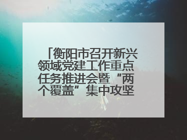 衡阳市召开新兴领域党建工作重点任务推进会暨“两个覆盖”集中攻坚工作专班 第一次会议