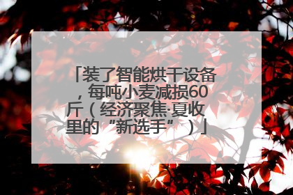 装了智能烘干设备，每吨小麦减损60斤（经济聚焦·夏收里的“新选手”）