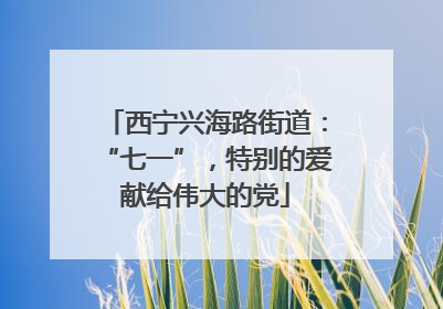 西宁兴海路街道：“七一”，特别的爱献给伟大的党