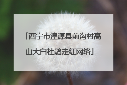 西宁市湟源县前沟村高山大白杜鹃走红网络
