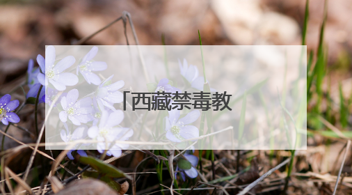 西藏禁毒教育基地揭牌