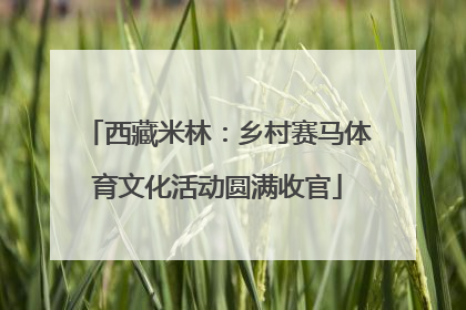 西藏米林：乡村赛马体育文化活动圆满收官