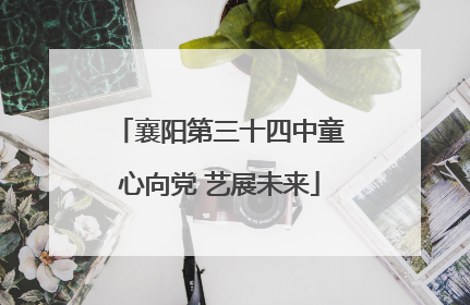 襄阳第三十四中童心向党 艺展未来