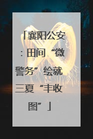 襄阳公安：田间“微警务”绘就三夏“丰收图”