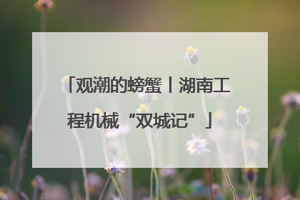 观潮的螃蟹丨湖南工程机械“双城记”