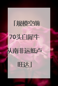 规模空前 70头白犀牛从南非运抵卢旺达