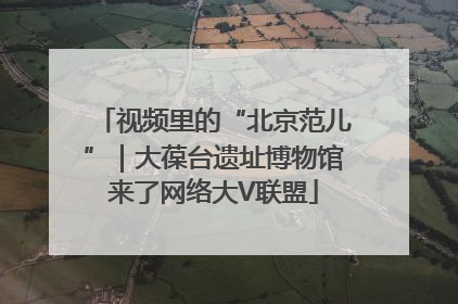 视频里的“北京范儿”｜大葆台遗址博物馆来了网络大V联盟