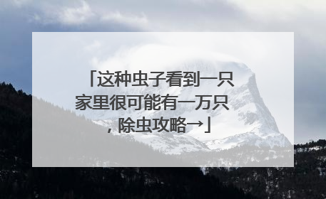 这种虫子看到一只家里很可能有一万只，除虫攻略→