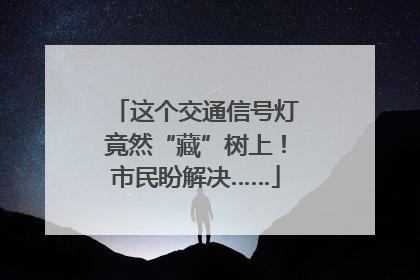 这个交通信号灯竟然“藏”树上！市民盼解决……