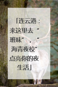连云港：来这里去“班味”，“海青夜校”点亮你的夜生活