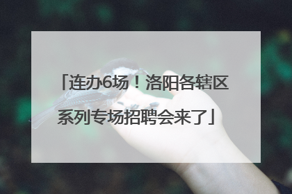 连办6场！洛阳各辖区系列专场招聘会来了
