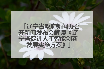 辽宁省政府新闻办召开新闻发布会解读《辽宁省促进人工智能创新发展实施方案》