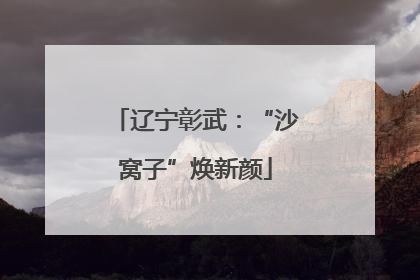 辽宁彰武：“沙窝子”焕新颜