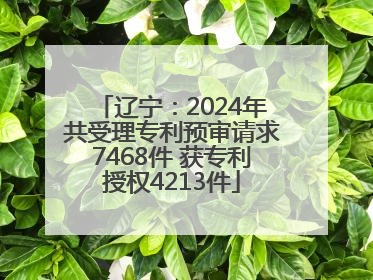辽宁：2024年共受理专利预审请求7468件 获专利授权4213件