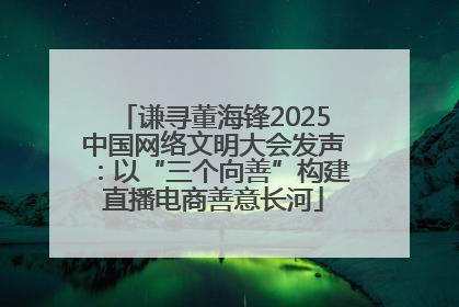 谦寻董海锋2025中国网络文明大会发声：以“三个向善”构建直播电商善意长河
