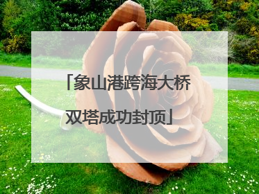 象山港跨海大桥双塔成功封顶