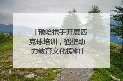 豫哈携手开展匹克球培训，鹤壁助力教育文化援疆