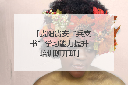 贵阳贵安“兵支书”学习能力提升培训班开班
