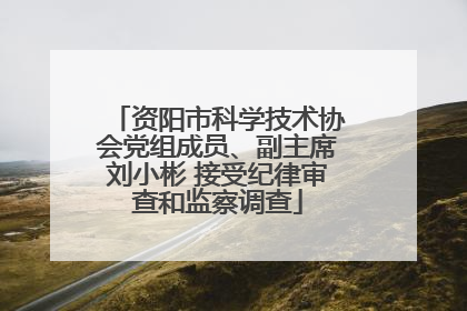 资阳市科学技术协会党组成员、副主席刘小彬 接受纪律审查和监察调查