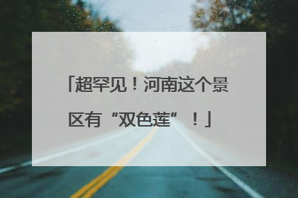超罕见！河南这个景区有“双色莲”！