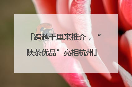 跨越千里来推介，“陕茶优品”亮相杭州