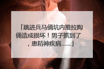 跳进兵马俑坑内推拉陶俑造成损坏！男子抓到了，患精神疾病……