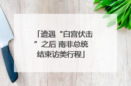 遭遇“白宫伏击”之后 南非总统结束访美行程