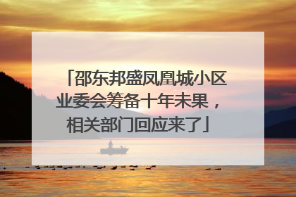 邵东邦盛凤凰城小区业委会筹备十年未果，相关部门回应来了
